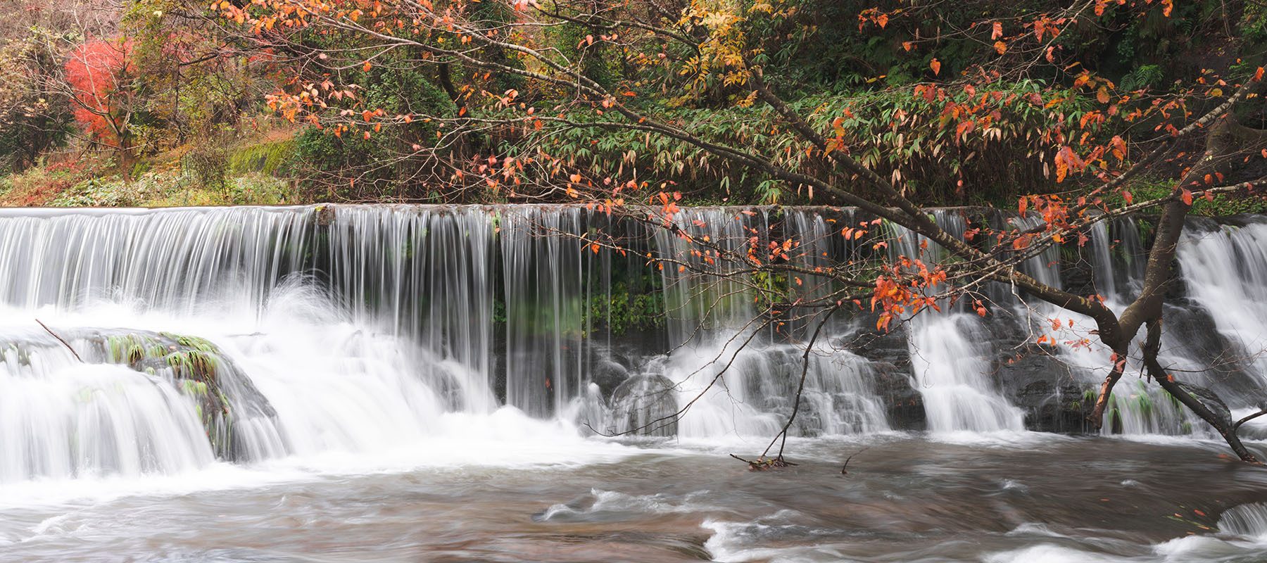 写真：川の景色