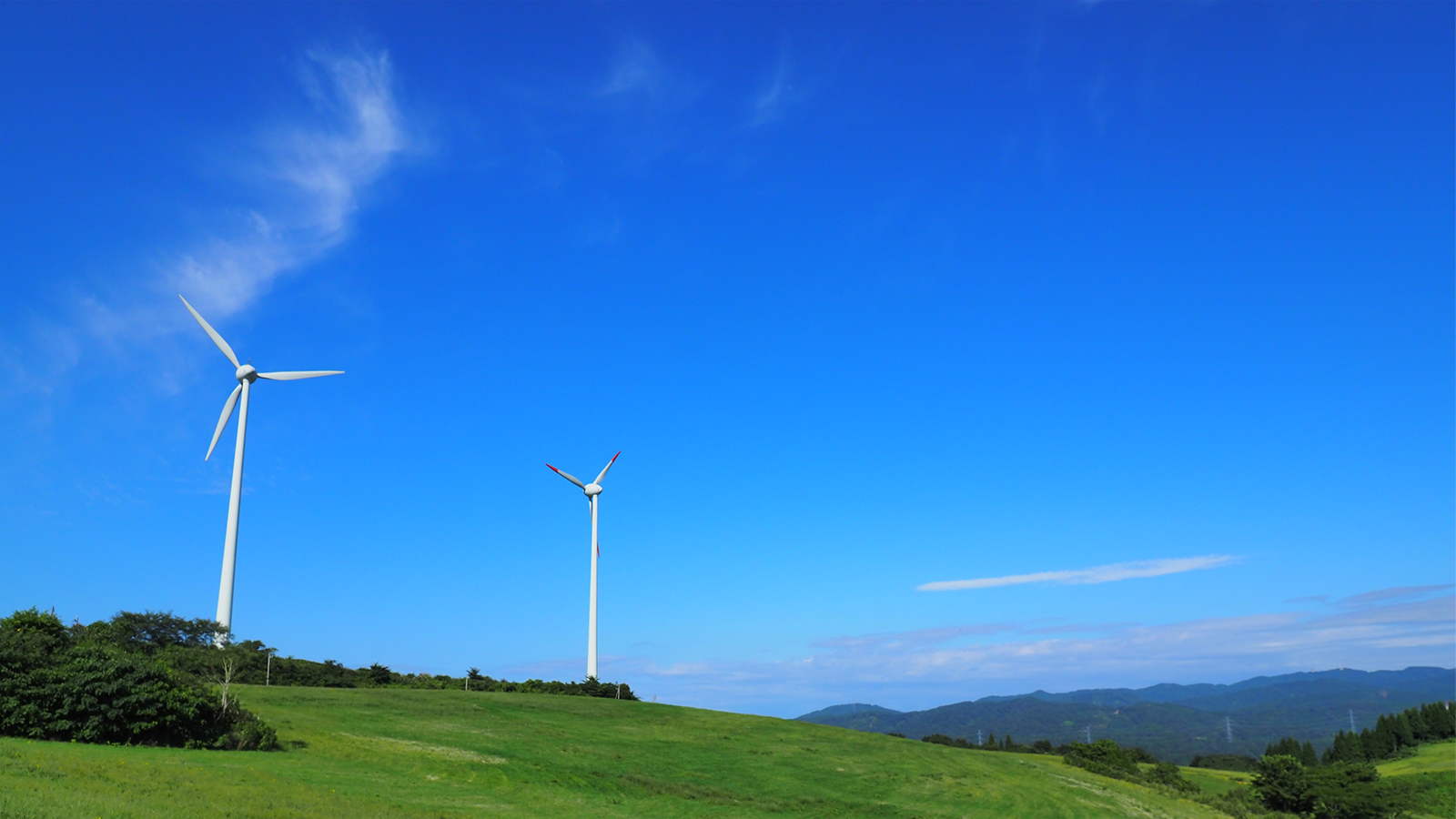 写真：風力発電の風景