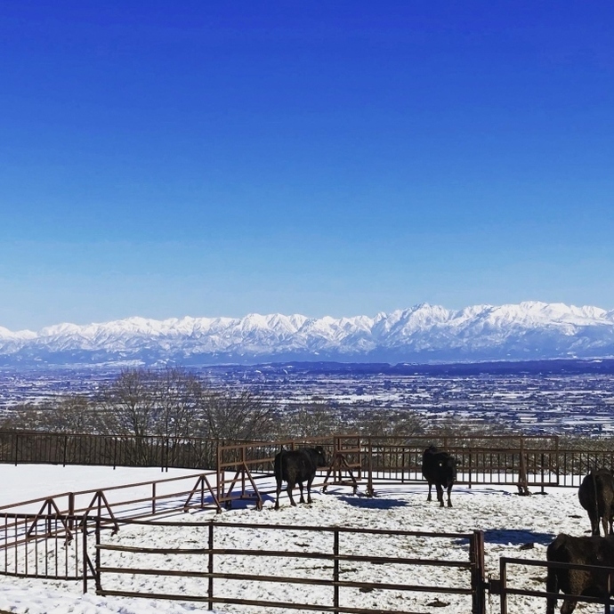 写真：牧場から見えるきれいな雪景色