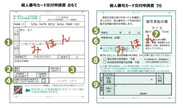 写真：個人番号カード_交付申請書_見本