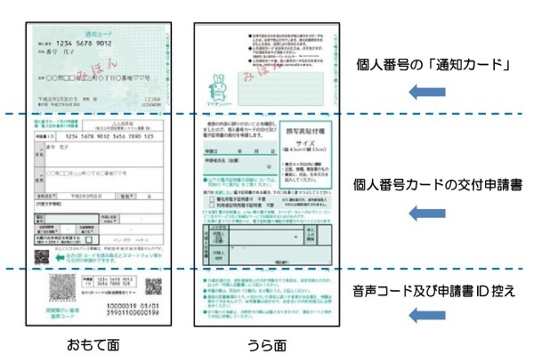 写真：通知カード様式説明