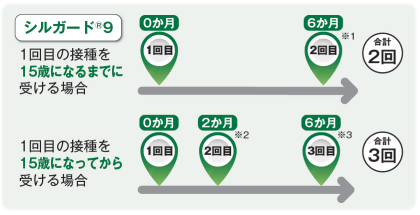 HPV接種スケジュール