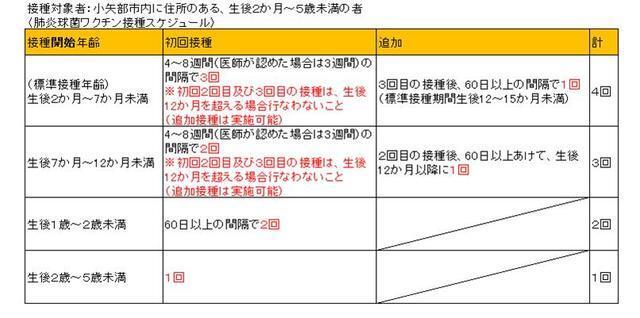 表：肺炎球菌ワクチン接種スケジュール