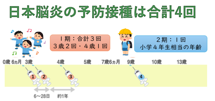 日本脳炎定期接種時期及び回数