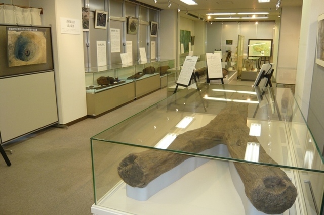 写真：桜町遺跡出土品展示室