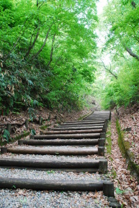 写真：倶利伽羅峠1