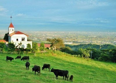 写真：稲葉山の牧場