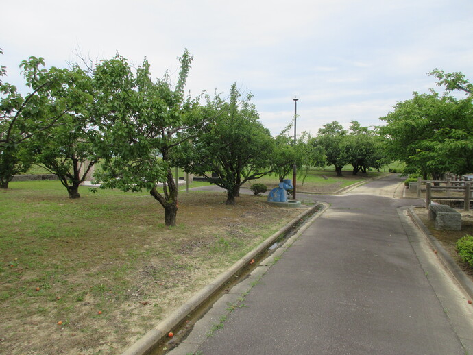 公園内風景