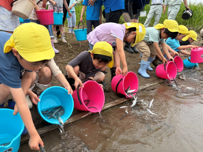 アユ大きくなってね！